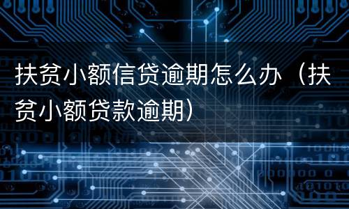 扶贫小额信贷逾期怎么办（扶贫小额贷款逾期）