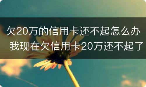 欠20万的信用卡还不起怎么办 我现在欠信用卡20万还不起了怎么办