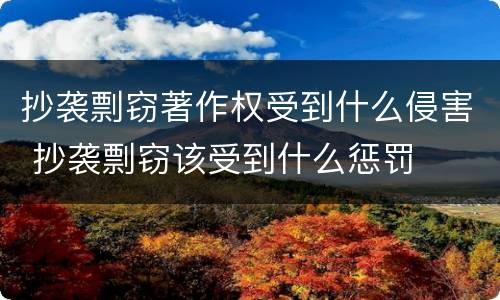 抄袭剽窃著作权受到什么侵害 抄袭剽窃该受到什么惩罚