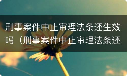 刑事案件中止审理法条还生效吗（刑事案件中止审理法条还生效吗怎么处理）