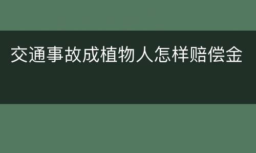 交通事故成植物人怎样赔偿金
