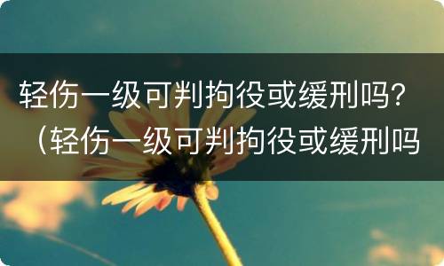 轻伤一级可判拘役或缓刑吗？（轻伤一级可判拘役或缓刑吗）