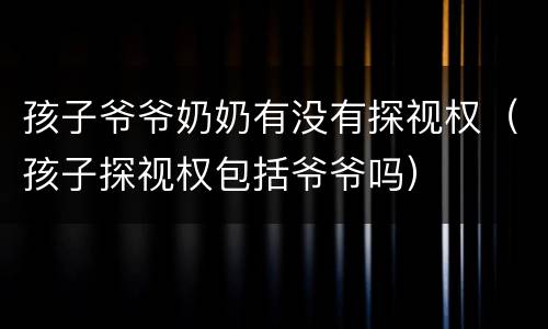 孩子爷爷奶奶有没有探视权（孩子探视权包括爷爷吗）