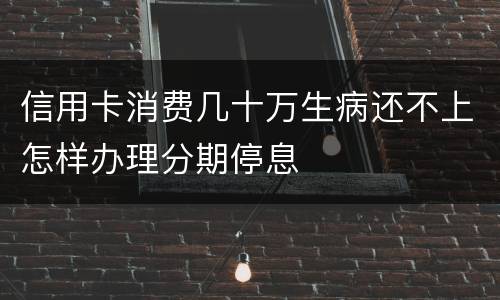 信用卡消费几十万生病还不上怎样办理分期停息