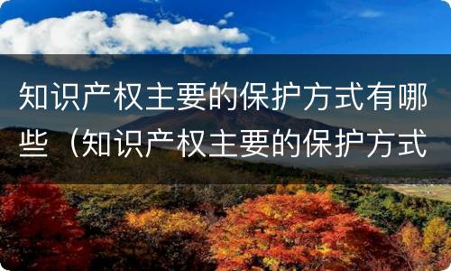 知识产权主要的保护方式有哪些（知识产权主要的保护方式有哪些呢）