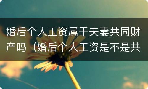 婚后个人工资属于夫妻共同财产吗（婚后个人工资是不是共有财产）