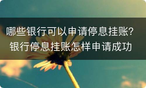 哪些银行可以申请停息挂账？ 银行停息挂账怎样申请成功