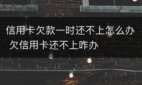 信用卡欠款一时还不上怎么办 欠信用卡还不上咋办