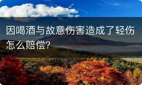 因喝酒与故意伤害造成了轻伤怎么赔偿？