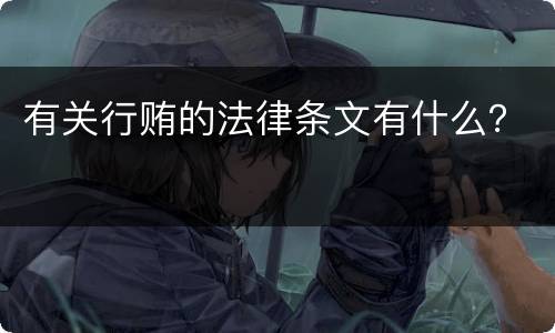 有关行贿的法律条文有什么？