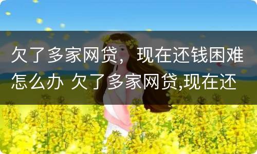 欠了多家网贷，现在还钱困难怎么办 欠了多家网贷,现在还钱困难怎么办呢