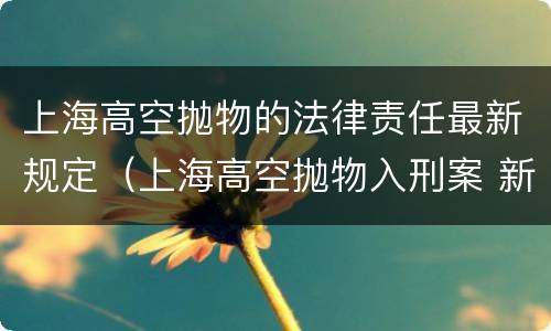 上海高空抛物的法律责任最新规定（上海高空抛物入刑案 新闻）