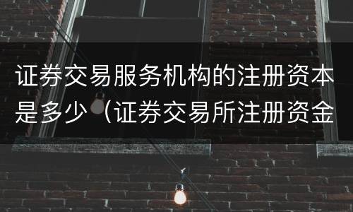 证券交易服务机构的注册资本是多少（证券交易所注册资金）