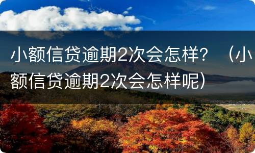 小额信贷逾期2次会怎样？（小额信贷逾期2次会怎样呢）