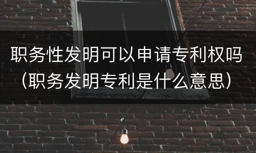 职务性发明可以申请专利权吗（职务发明专利是什么意思）