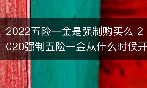 2022五险一金是强制购买么 2020强制五险一金从什么时候开始