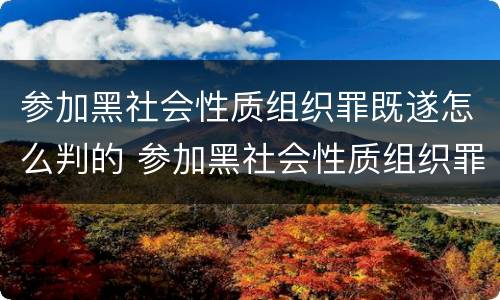 参加黑社会性质组织罪既遂怎么判的 参加黑社会性质组织罪的量刑
