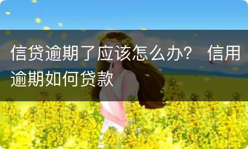 信贷逾期了应该怎么办？ 信用逾期如何贷款