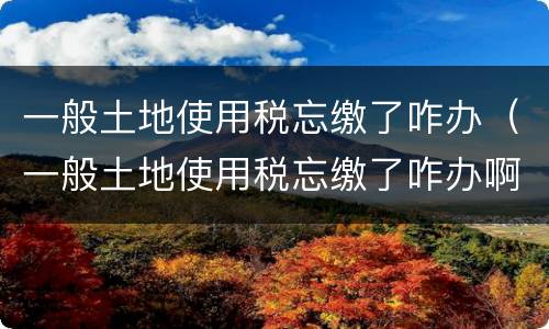 一般土地使用税忘缴了咋办（一般土地使用税忘缴了咋办啊）