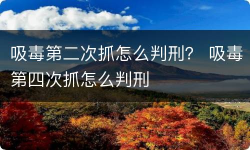 吸毒第二次抓怎么判刑？ 吸毒第四次抓怎么判刑