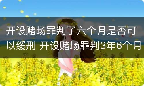 开设赌场罪判了六个月是否可以缓刑 开设赌场罪判3年6个月减刑多少