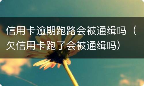 信用卡逾期跑路会被通缉吗（欠信用卡跑了会被通缉吗）