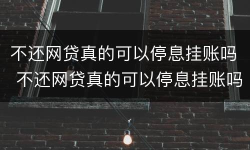 不还网贷真的可以停息挂账吗 不还网贷真的可以停息挂账吗知乎