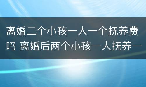 离婚二个小孩一人一个抚养费吗 离婚后两个小孩一人抚养一个费用如何承担