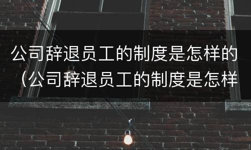 公司辞退员工的制度是怎样的（公司辞退员工的制度是怎样的形式）