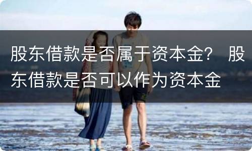股东借款是否属于资本金？ 股东借款是否可以作为资本金