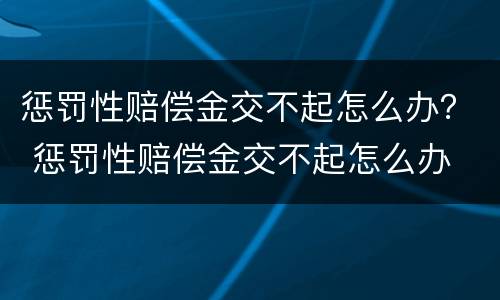 惩罚性赔偿金交不起怎么办？ 惩罚性赔偿金交不起怎么办