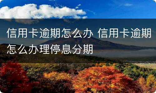 信用卡逾期怎么办 信用卡逾期怎么办理停息分期