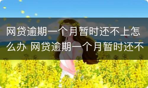网贷逾期一个月暂时还不上怎么办 网贷逾期一个月暂时还不上怎么办哈尔滨