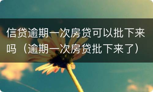 信贷逾期一次房贷可以批下来吗（逾期一次房贷批下来了）
