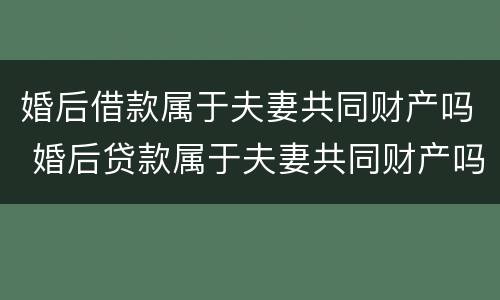 婚后借款属于夫妻共同财产吗 婚后贷款属于夫妻共同财产吗