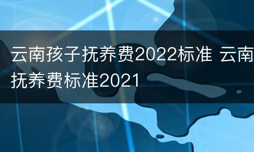 云南孩子抚养费2022标准 云南抚养费标准2021