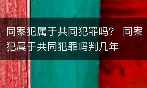 同案犯属于共同犯罪吗？ 同案犯属于共同犯罪吗判几年