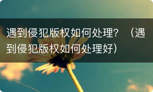遇到侵犯版权如何处理？（遇到侵犯版权如何处理好）