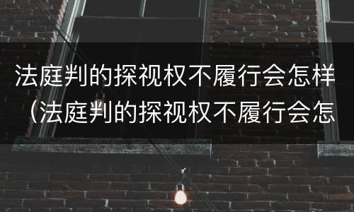 法庭判的探视权不履行会怎样（法庭判的探视权不履行会怎样处罚）