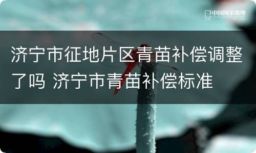 济宁市征地片区青苗补偿调整了吗 济宁市青苗补偿标准