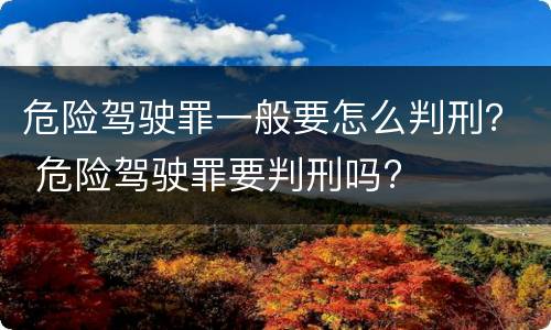 危险驾驶罪一般要怎么判刑？ 危险驾驶罪要判刑吗?