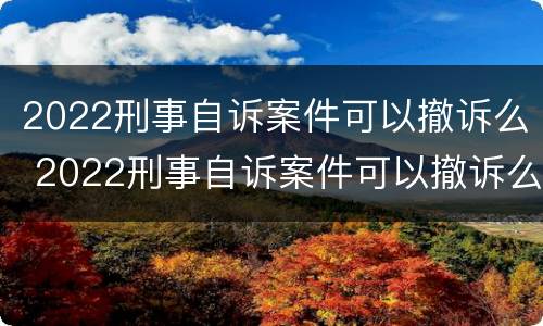 2022刑事自诉案件可以撤诉么 2022刑事自诉案件可以撤诉么吗