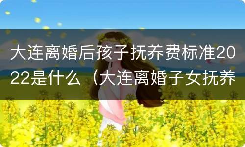 大连离婚后孩子抚养费标准2022是什么（大连离婚子女抚养费多少?）