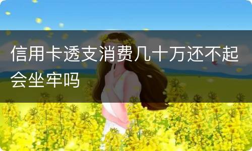 信用卡透支消费几十万还不起会坐牢吗