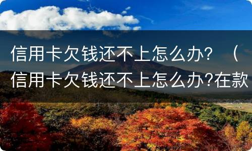 信用卡欠钱还不上怎么办？（信用卡欠钱还不上怎么办?在款的房子会被拍卖吗）