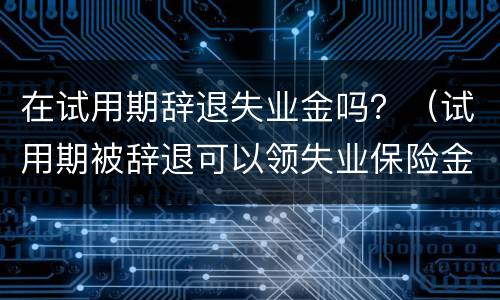 在试用期辞退失业金吗？（试用期被辞退可以领失业保险金吗）