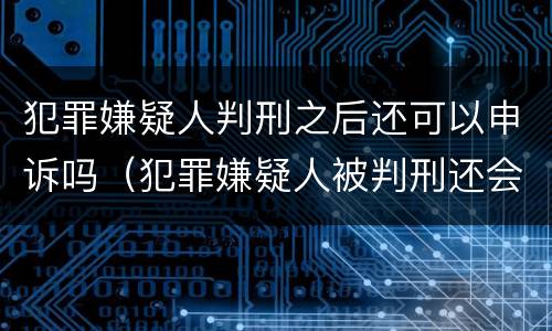 犯罪嫌疑人判刑之后还可以申诉吗（犯罪嫌疑人被判刑还会罚金吗）