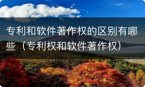 专利和软件著作权的区别有哪些（专利权和软件著作权）
