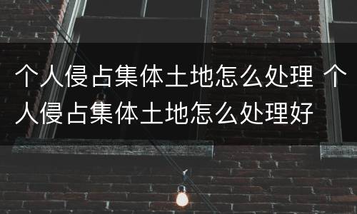 个人侵占集体土地怎么处理 个人侵占集体土地怎么处理好
