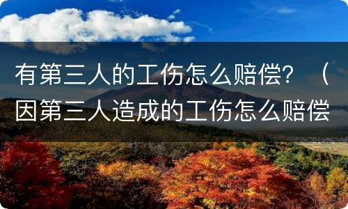 有第三人的工伤怎么赔偿？（因第三人造成的工伤怎么赔偿）